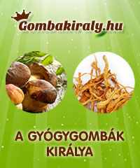 Gombakiraly.hu banner-200x240-20140305